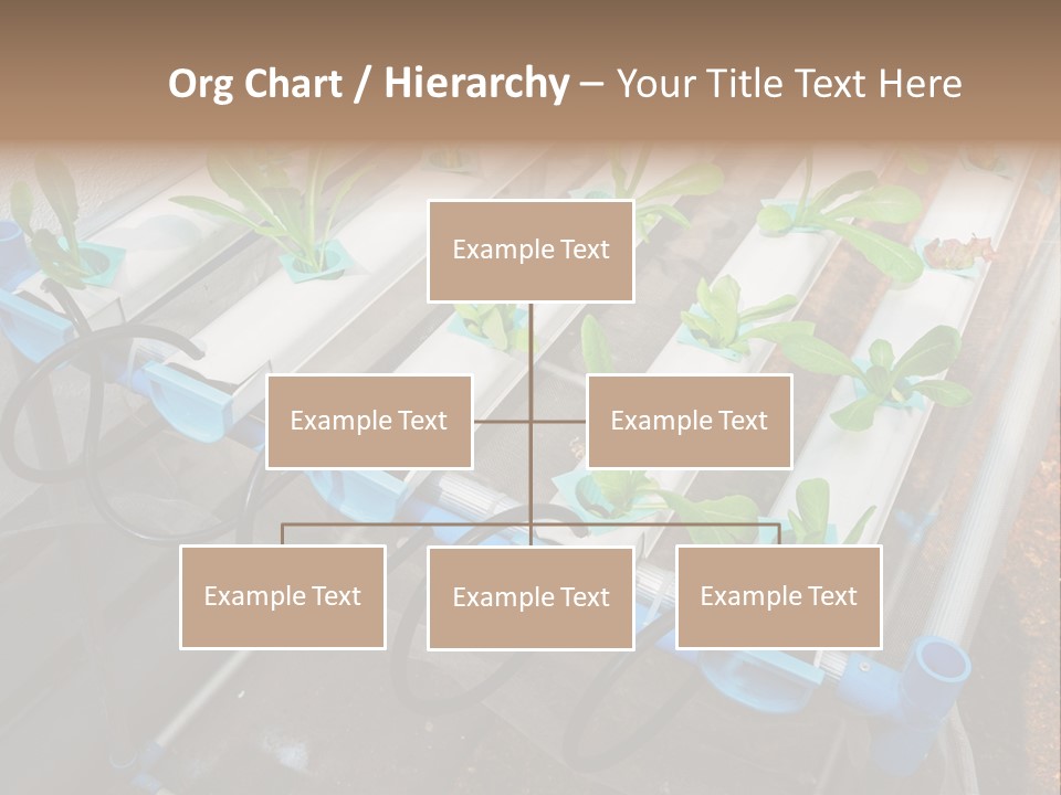 Toxic Vitamins Rural PowerPoint Template