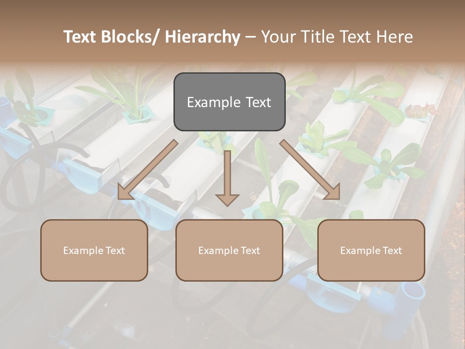 Toxic Vitamins Rural PowerPoint Template