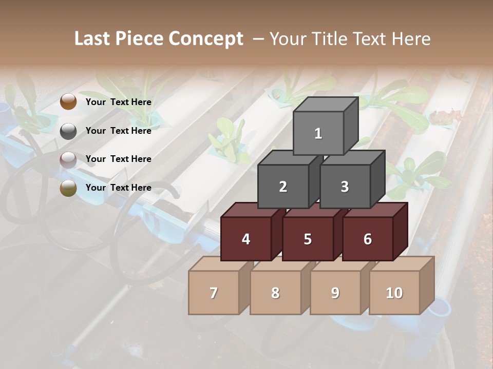 Toxic Vitamins Rural PowerPoint Template
