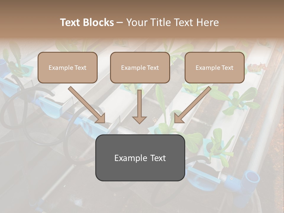 Toxic Vitamins Rural PowerPoint Template