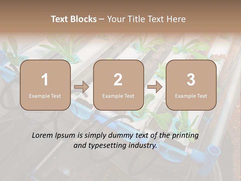 Toxic Vitamins Rural PowerPoint Template