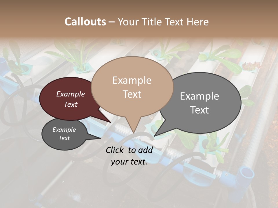 Toxic Vitamins Rural PowerPoint Template