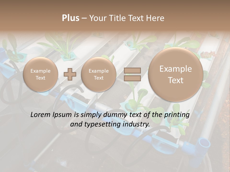 Toxic Vitamins Rural PowerPoint Template