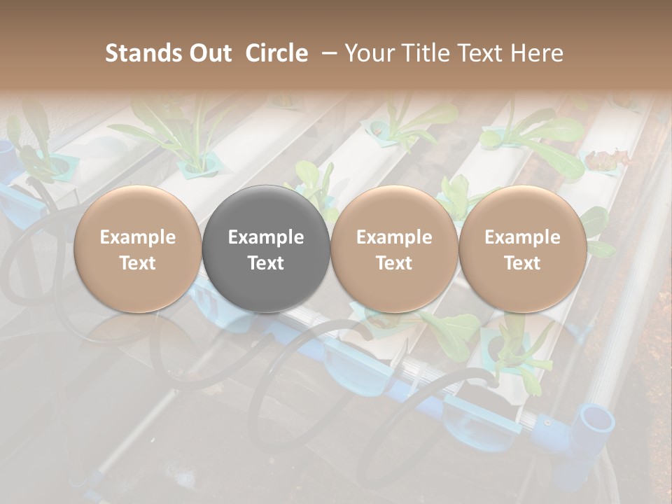 Toxic Vitamins Rural PowerPoint Template