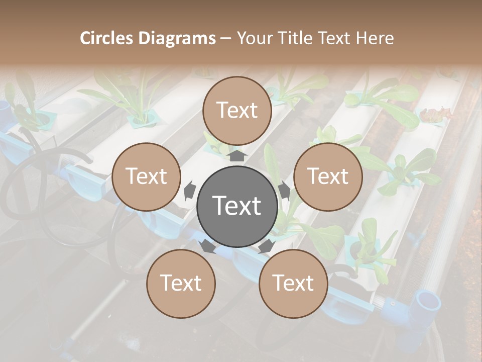 Toxic Vitamins Rural PowerPoint Template
