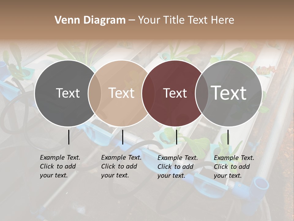 Toxic Vitamins Rural PowerPoint Template