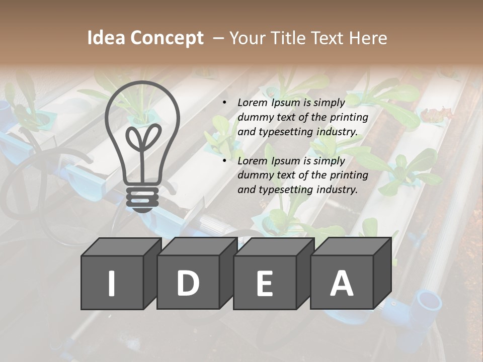 Toxic Vitamins Rural PowerPoint Template