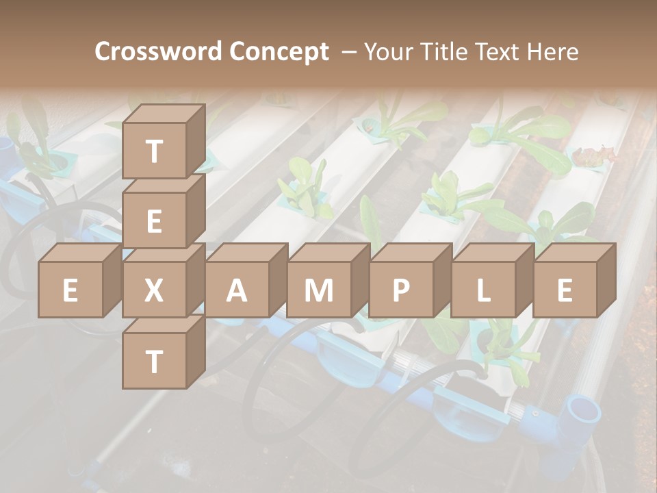 Toxic Vitamins Rural PowerPoint Template