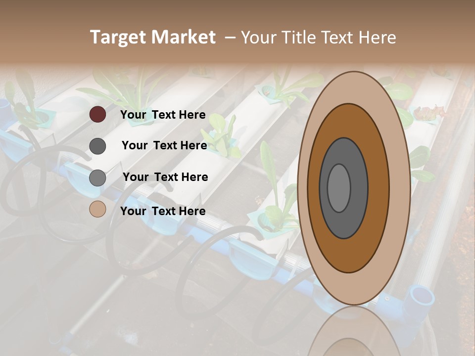 Toxic Vitamins Rural PowerPoint Template