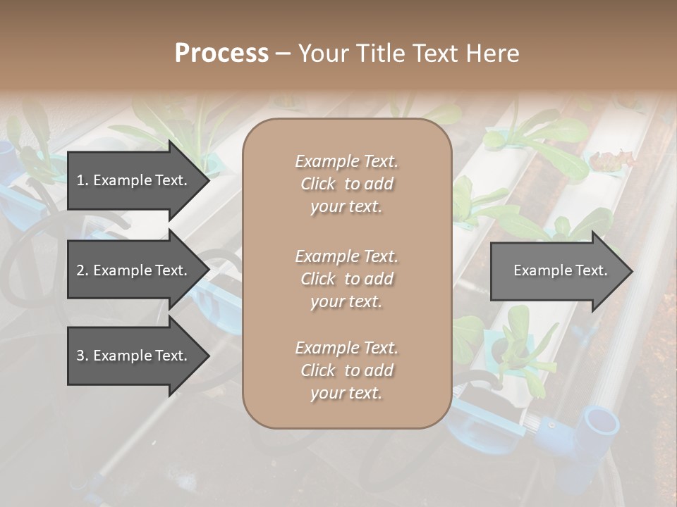 Toxic Vitamins Rural PowerPoint Template