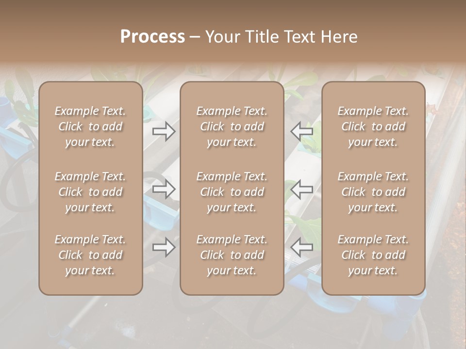 Toxic Vitamins Rural PowerPoint Template