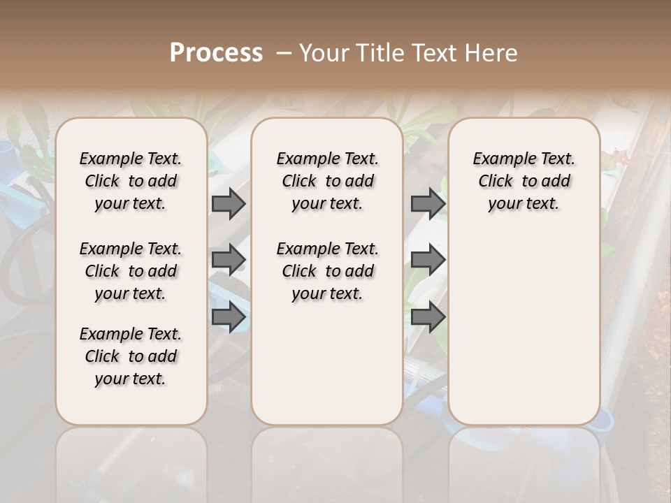 Toxic Vitamins Rural PowerPoint Template