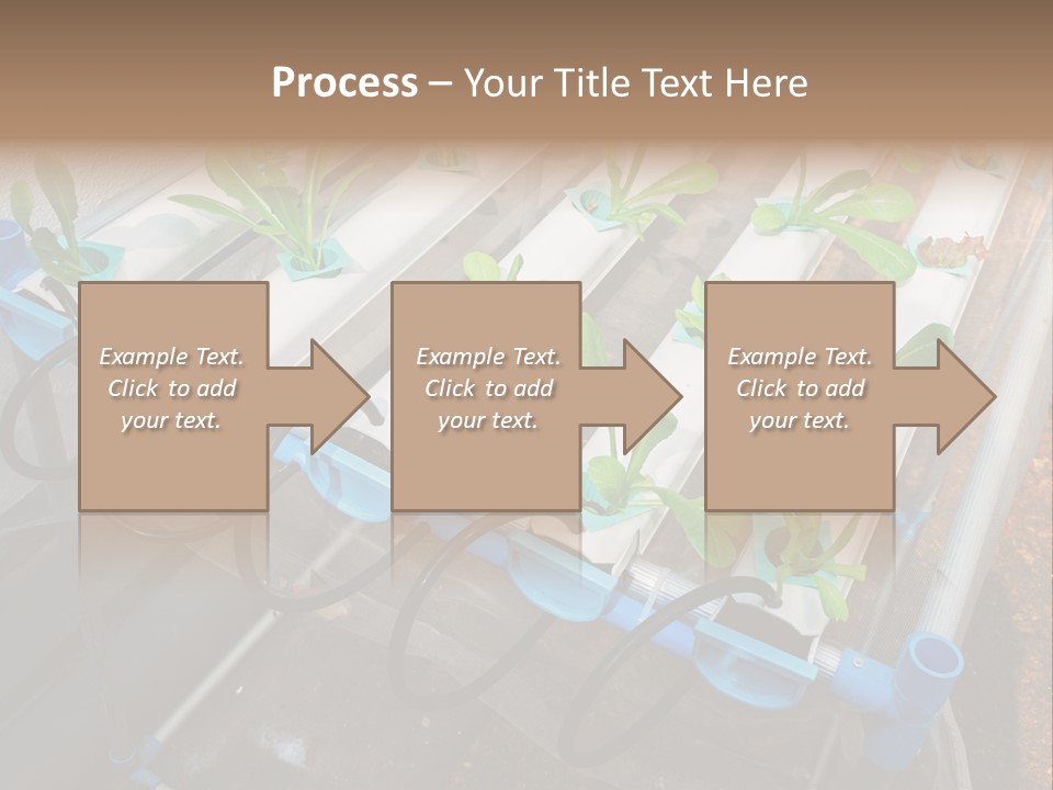 Toxic Vitamins Rural PowerPoint Template