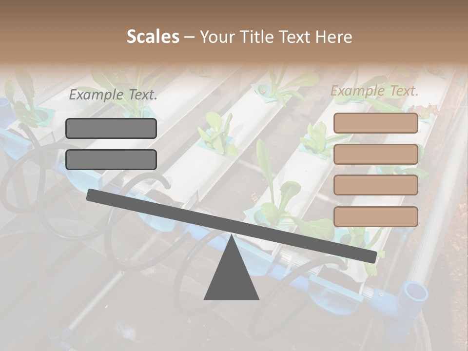 Toxic Vitamins Rural PowerPoint Template