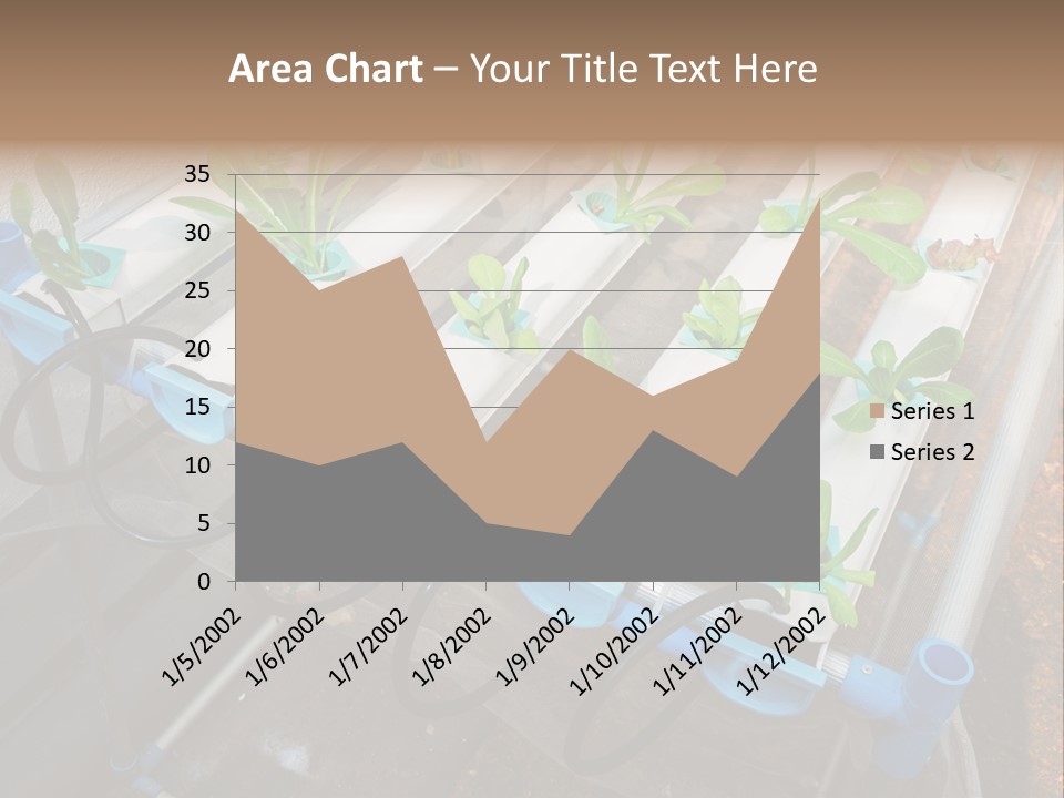 Toxic Vitamins Rural PowerPoint Template