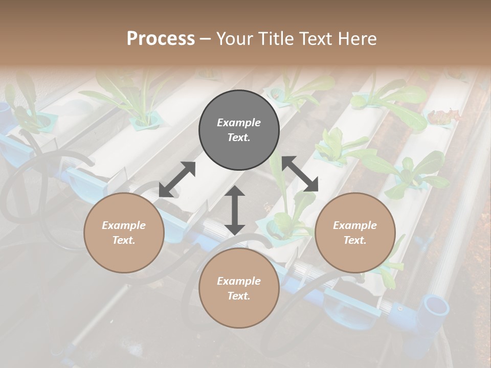 Toxic Vitamins Rural PowerPoint Template