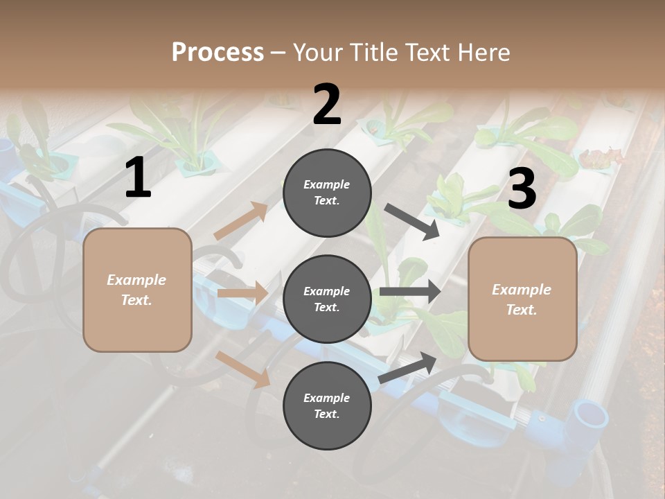 Toxic Vitamins Rural PowerPoint Template