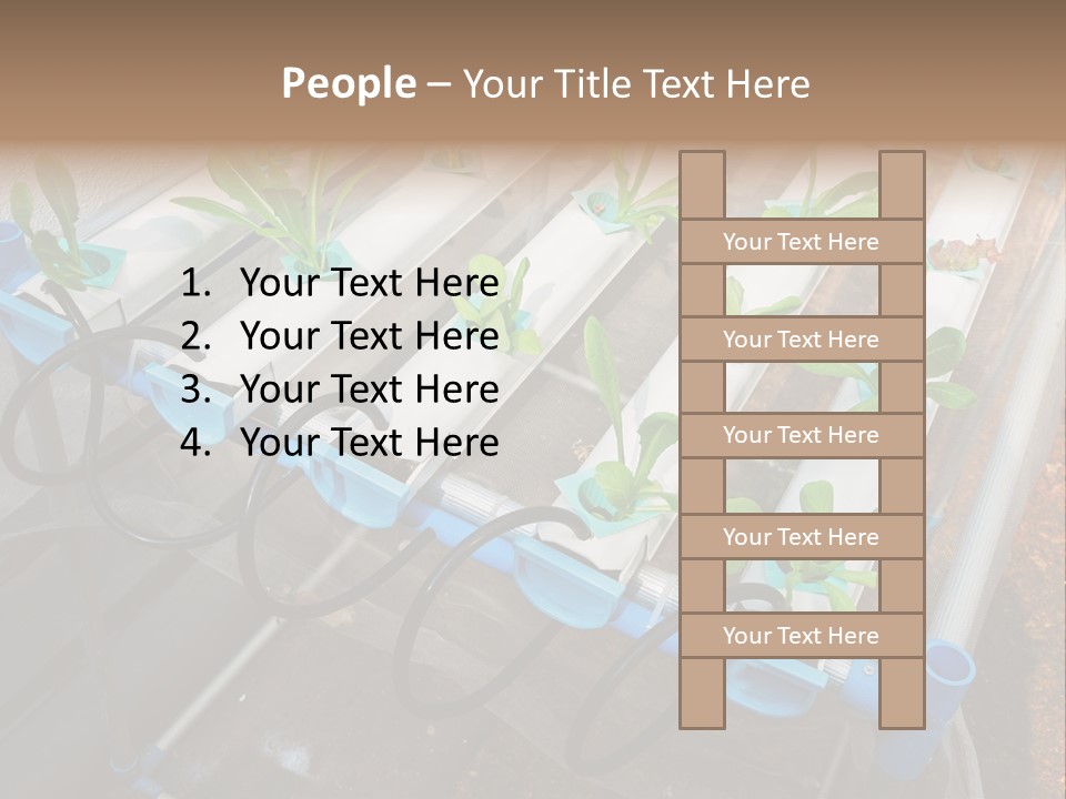 Toxic Vitamins Rural PowerPoint Template