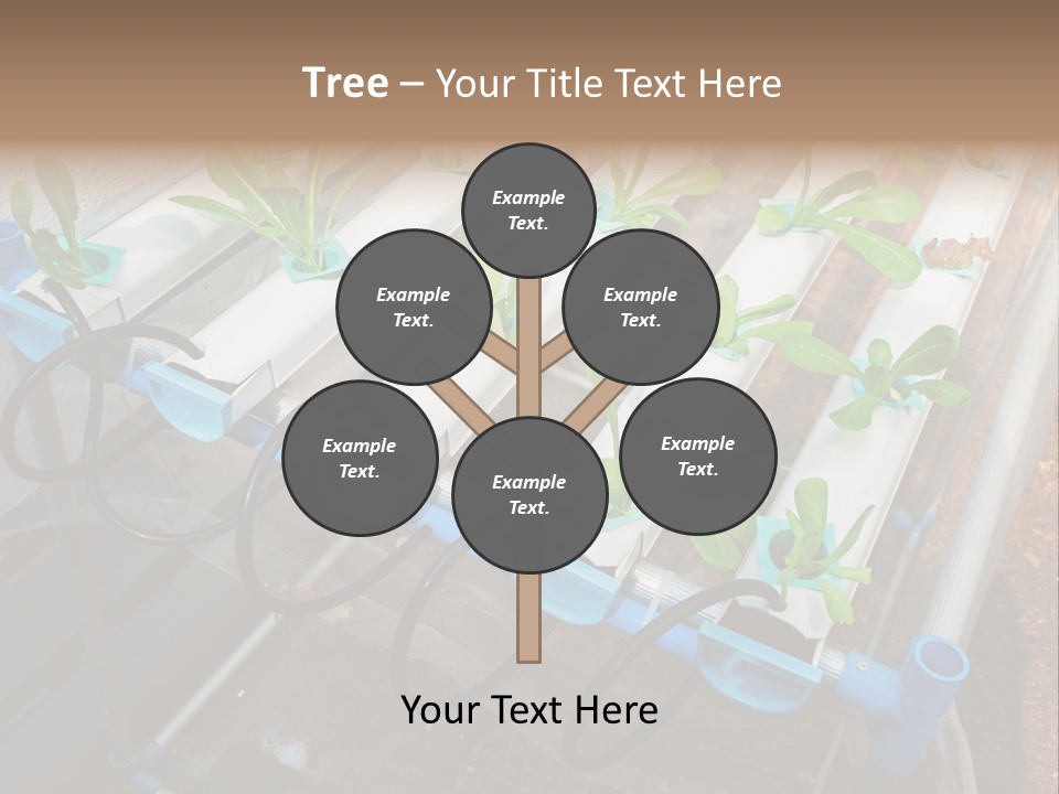 Toxic Vitamins Rural PowerPoint Template