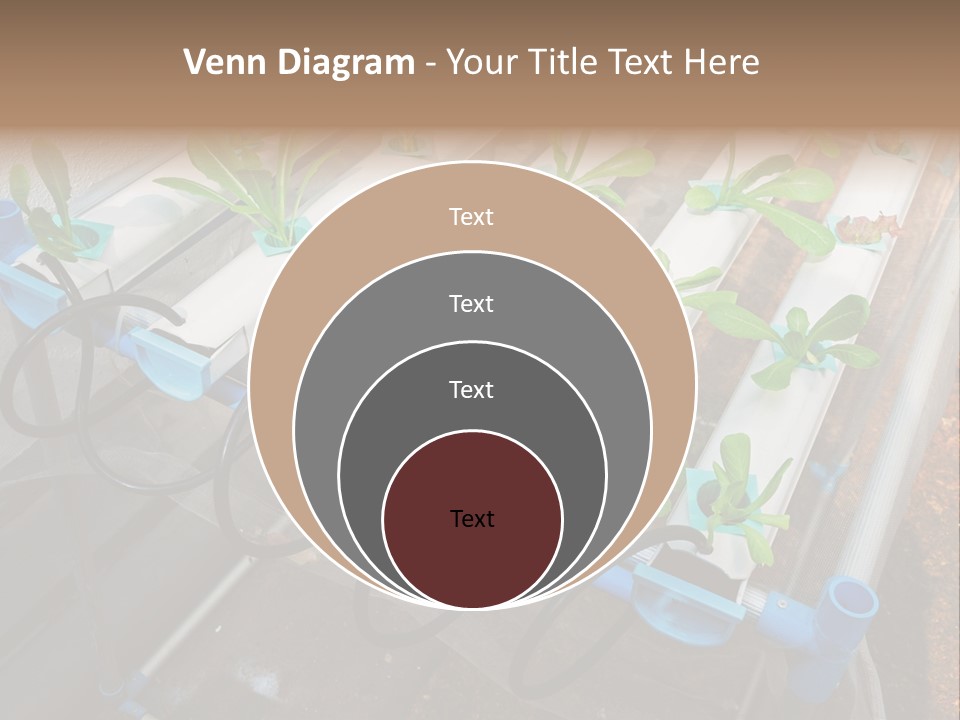 Toxic Vitamins Rural PowerPoint Template