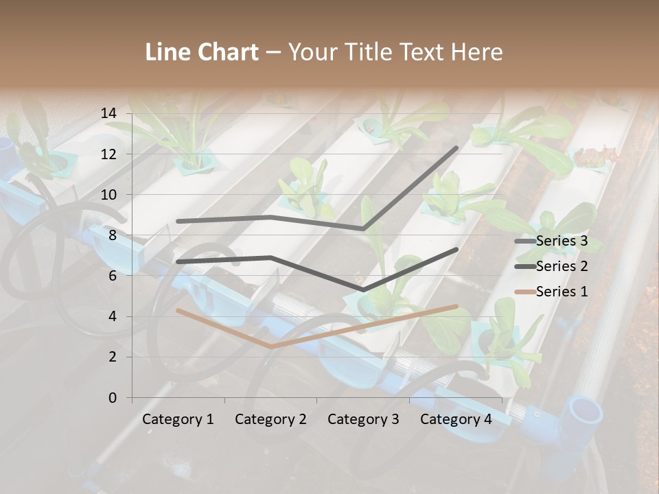 Toxic Vitamins Rural PowerPoint Template