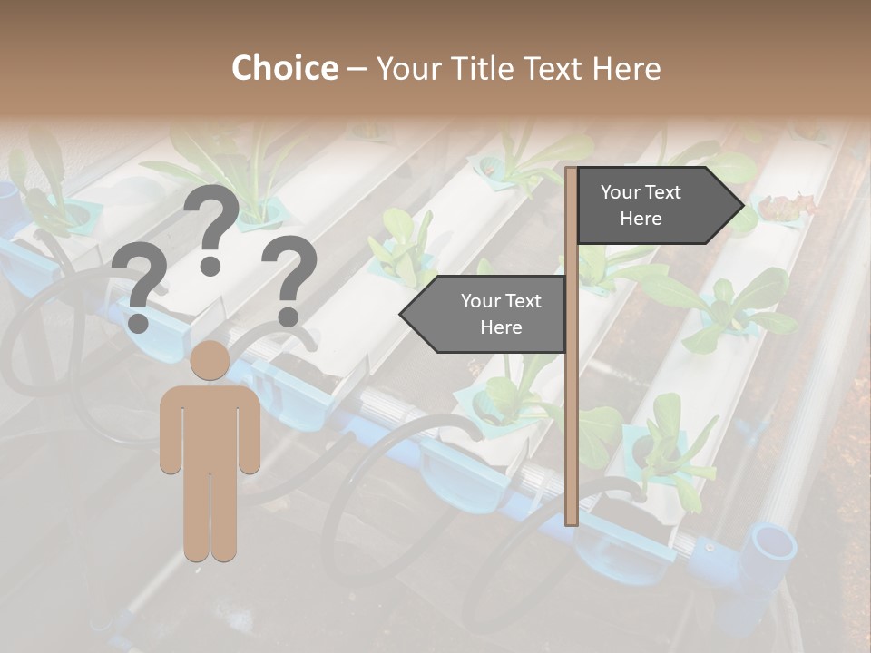Toxic Vitamins Rural PowerPoint Template