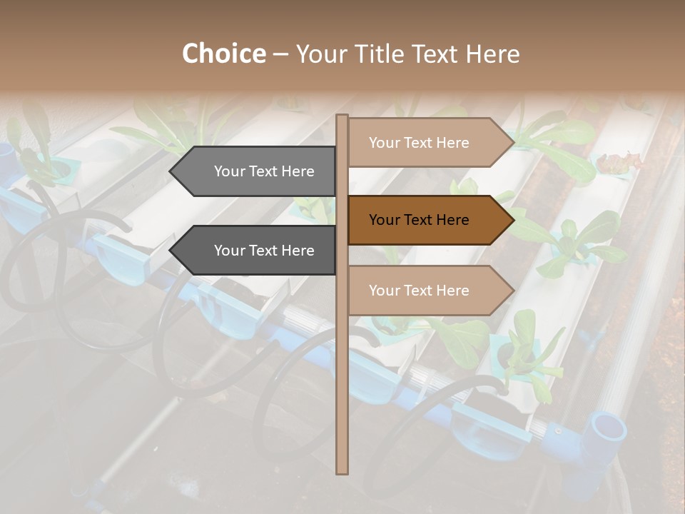 Toxic Vitamins Rural PowerPoint Template