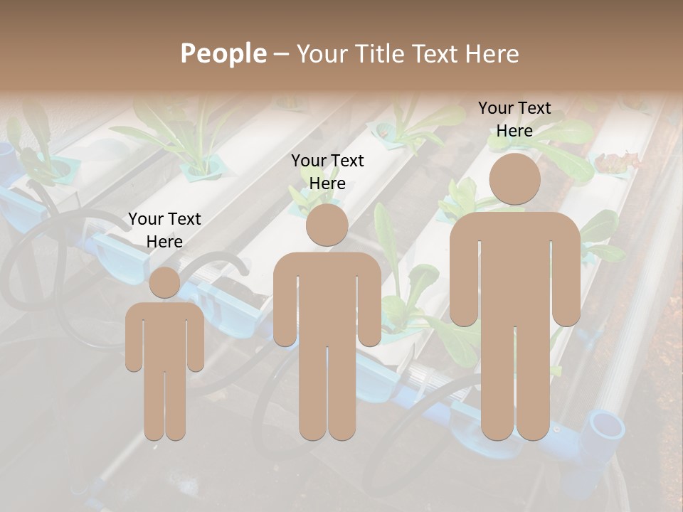 Toxic Vitamins Rural PowerPoint Template