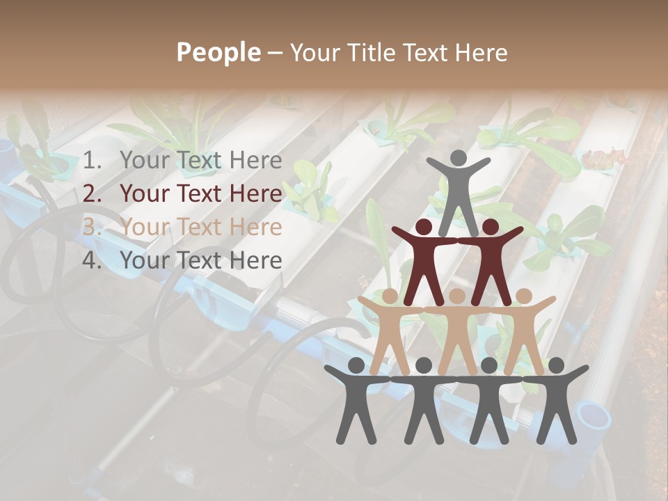 Toxic Vitamins Rural PowerPoint Template