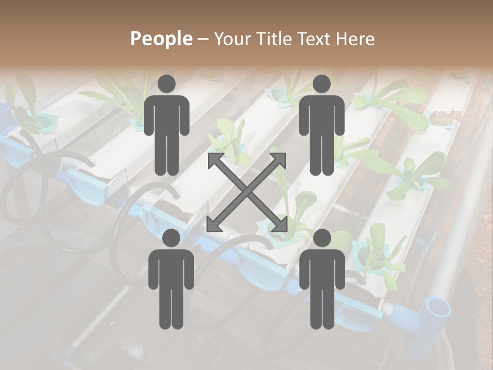 Toxic Vitamins Rural PowerPoint Template