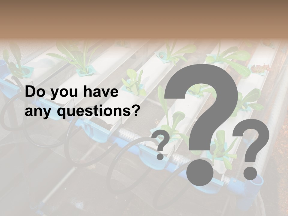 Toxic Vitamins Rural PowerPoint Template