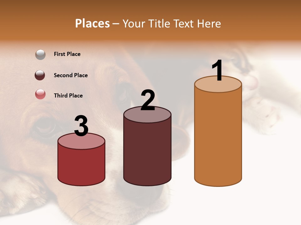 Australia Waterfall National PowerPoint Template