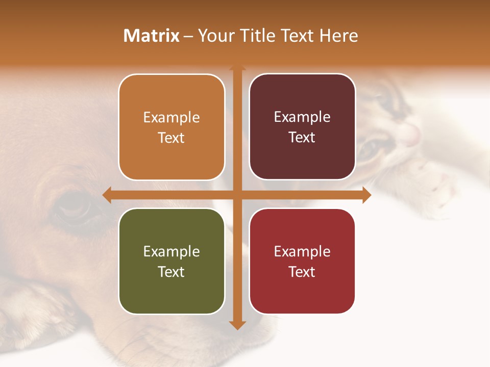 Australia Waterfall National PowerPoint Template