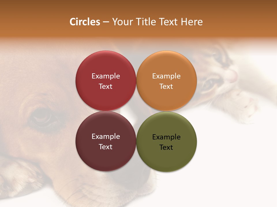 Australia Waterfall National PowerPoint Template