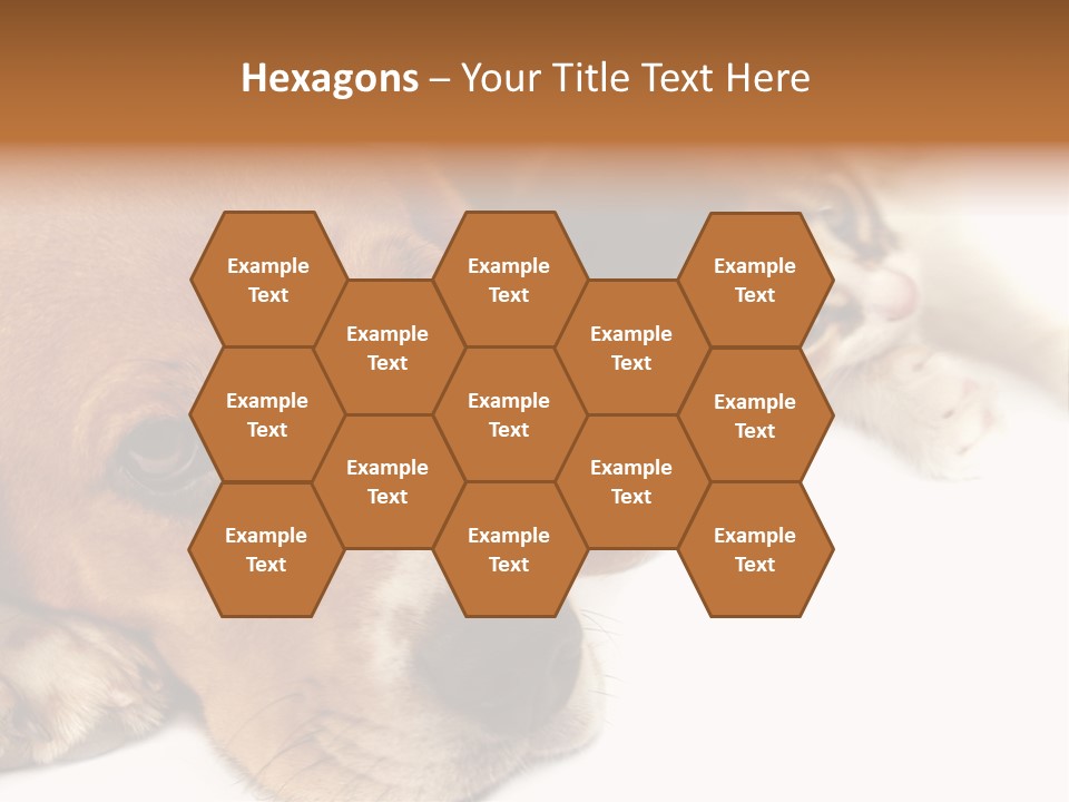 Australia Waterfall National PowerPoint Template