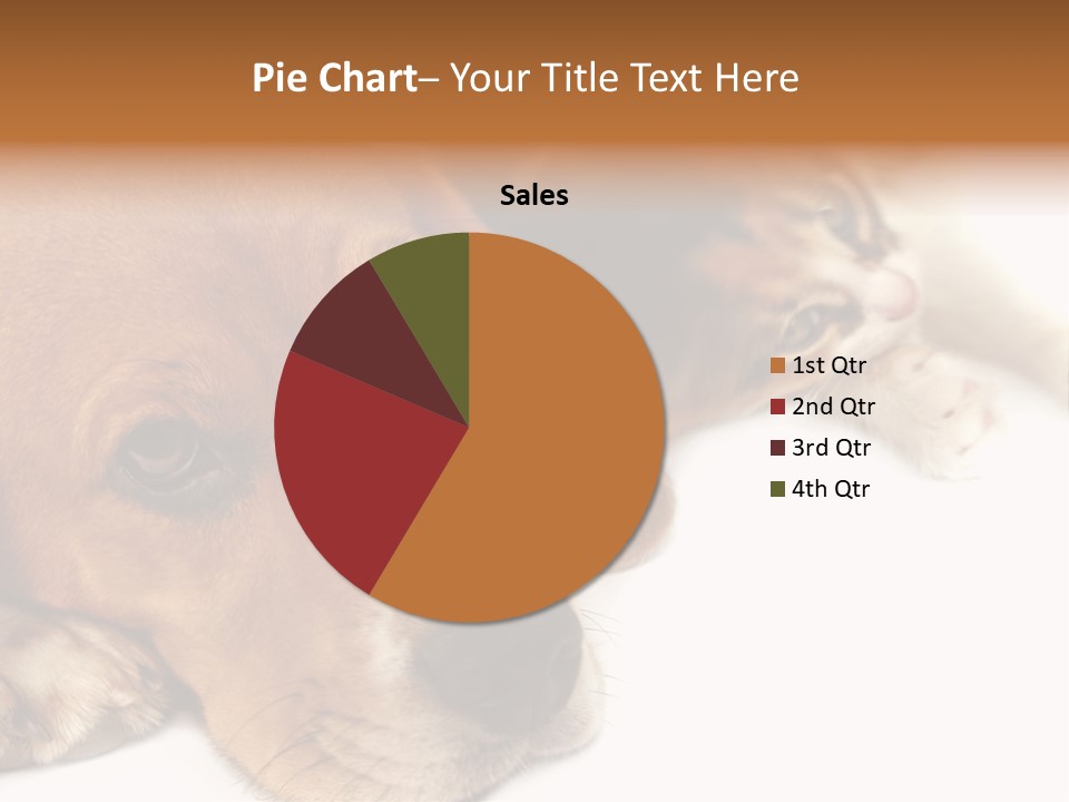 Australia Waterfall National PowerPoint Template
