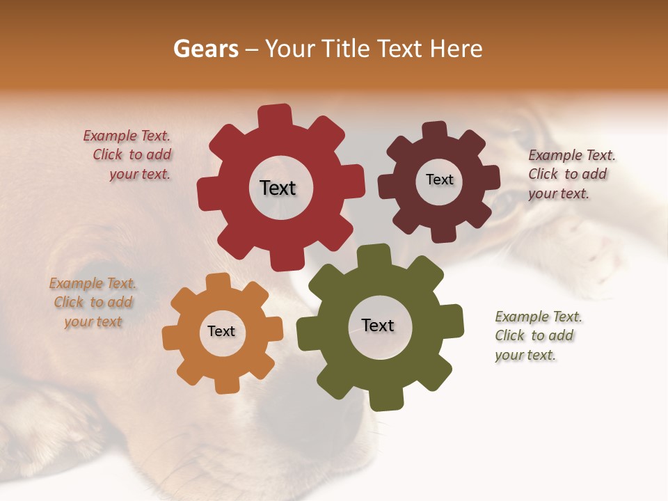 Australia Waterfall National PowerPoint Template