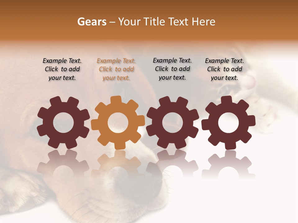 Australia Waterfall National PowerPoint Template