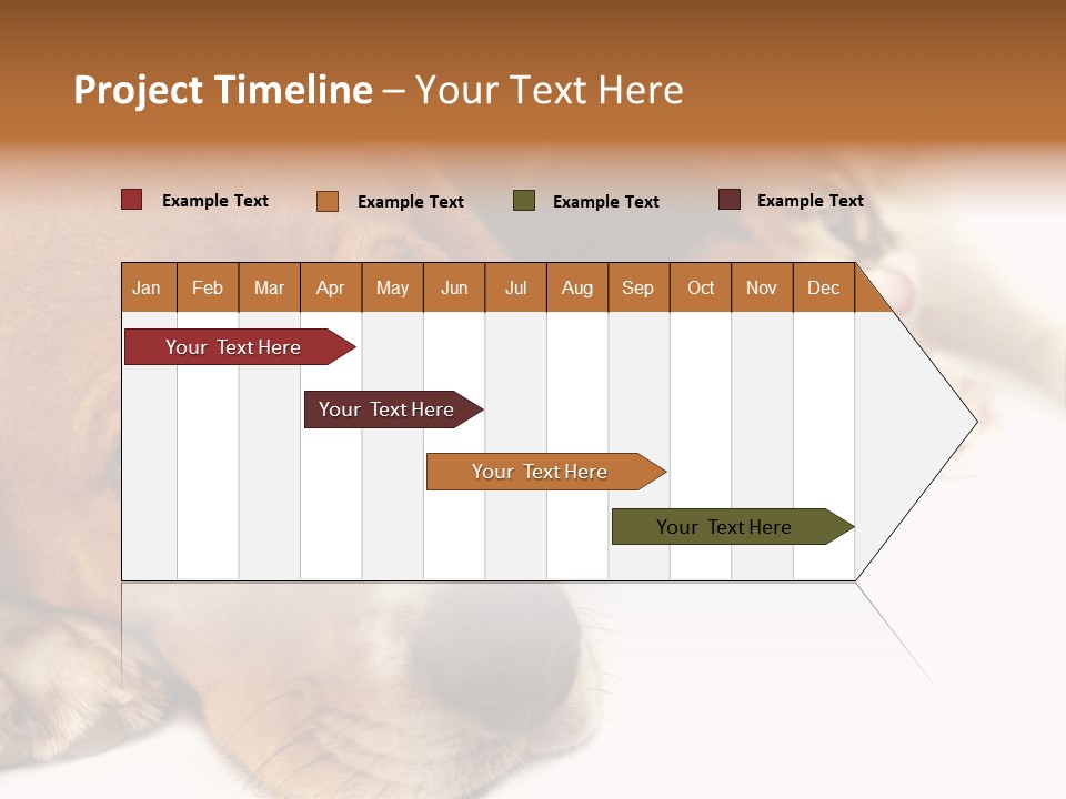 Australia Waterfall National PowerPoint Template