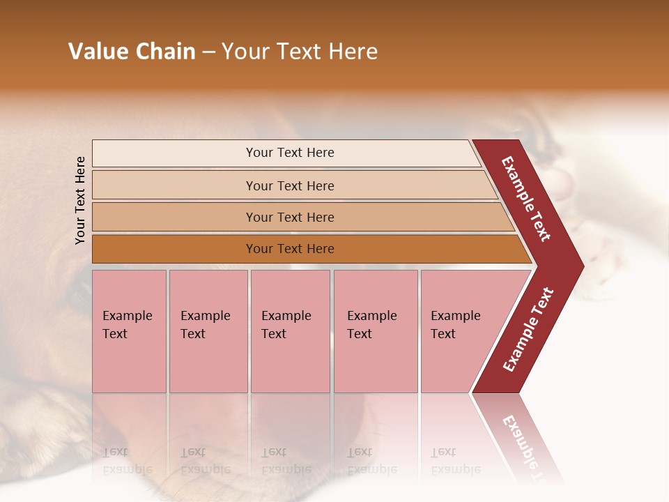 Australia Waterfall National PowerPoint Template