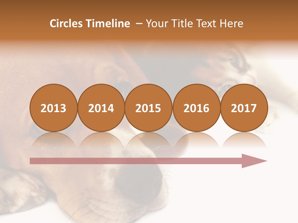 Australia Waterfall National PowerPoint Template