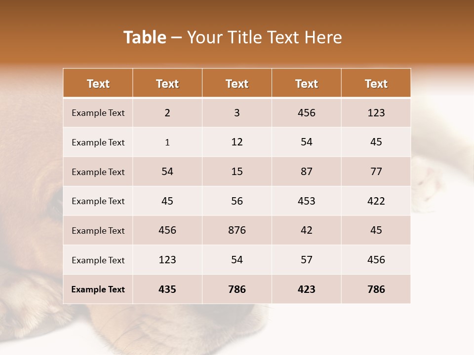 Australia Waterfall National PowerPoint Template