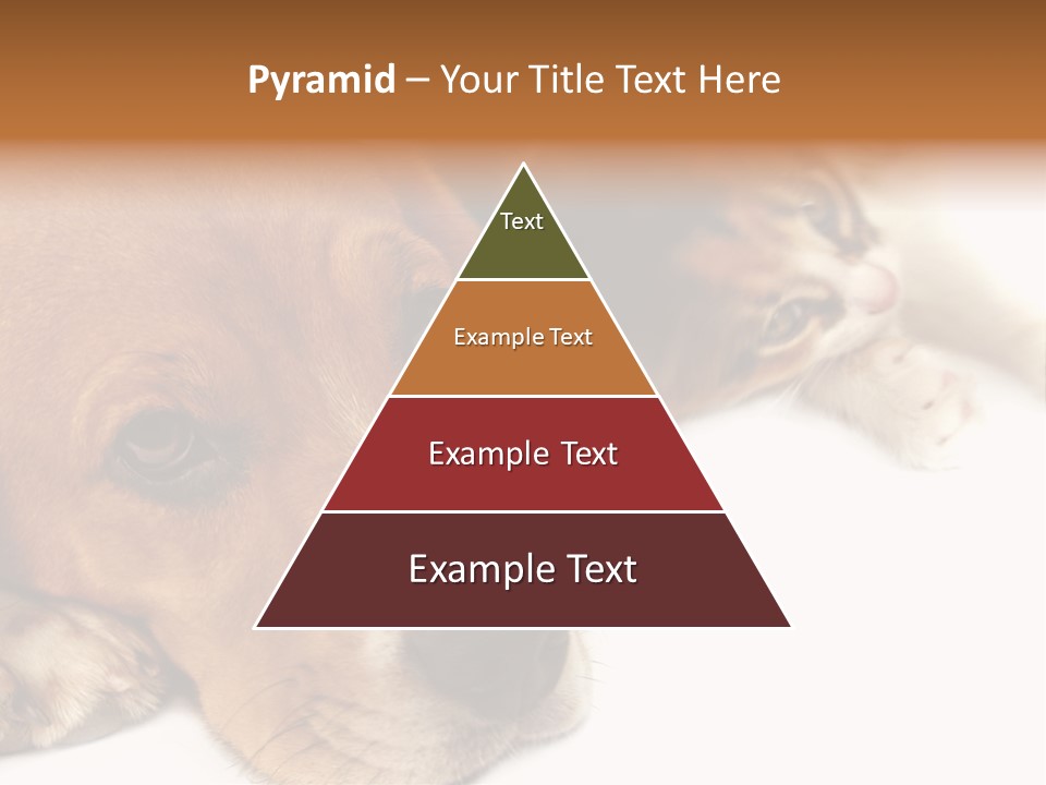 Australia Waterfall National PowerPoint Template