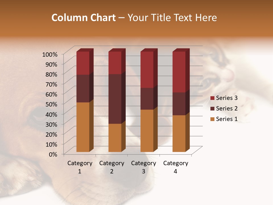 Australia Waterfall National PowerPoint Template