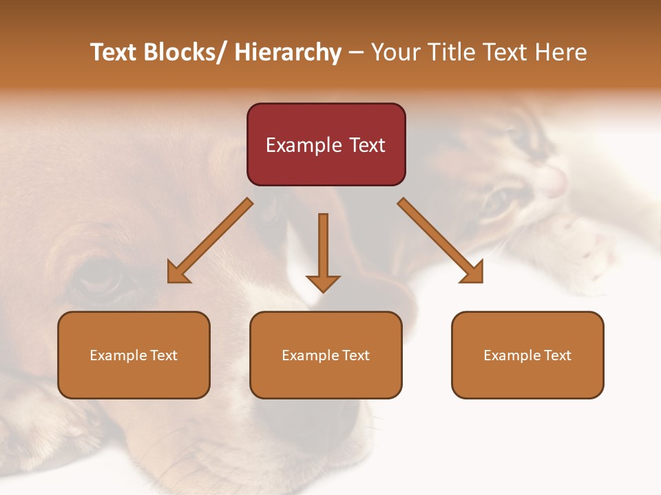 Australia Waterfall National PowerPoint Template
