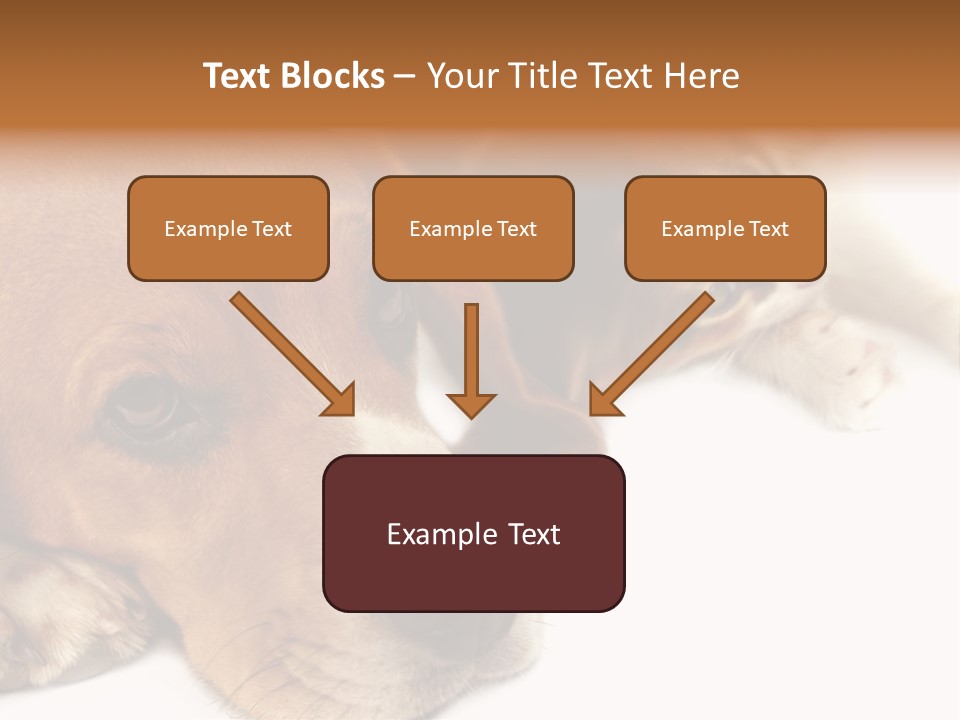 Australia Waterfall National PowerPoint Template