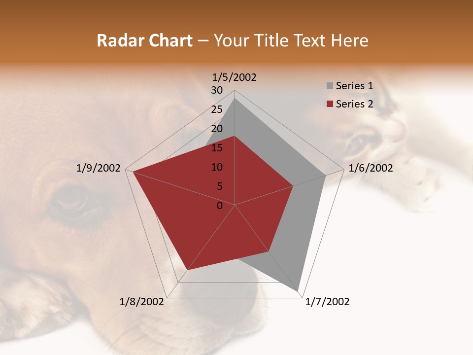 Australia Waterfall National PowerPoint Template