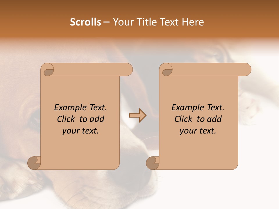 Australia Waterfall National PowerPoint Template