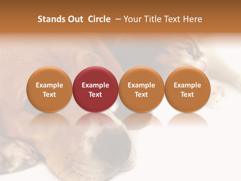 Australia Waterfall National PowerPoint Template