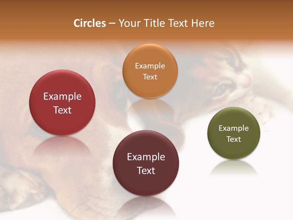 Australia Waterfall National PowerPoint Template